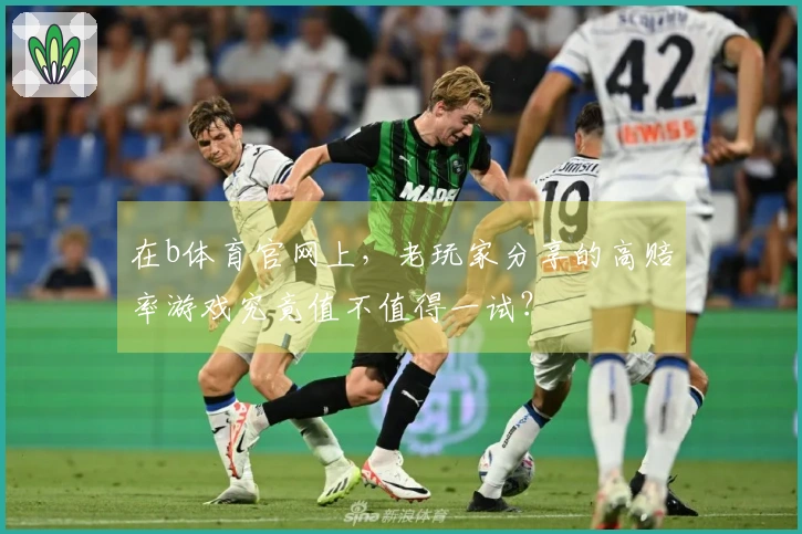 在b体育官网上，老玩家分享的高赔率游戏究竟值不值得一试？