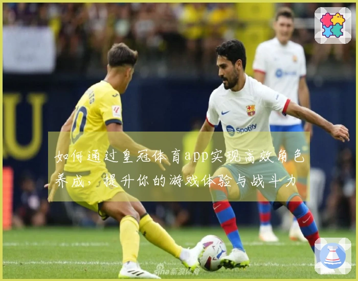 如何通过皇冠体育app实现高效角色养成，提升你的游戏体验与战斗力