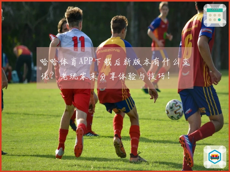 哈哈体育APP下载后新版本有什么变化？老玩家来分享体验与技巧！
