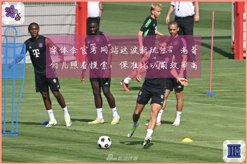 华体会官方网站这波新玩法，老哥们儿照着摸索，保准比以前效率高不少！